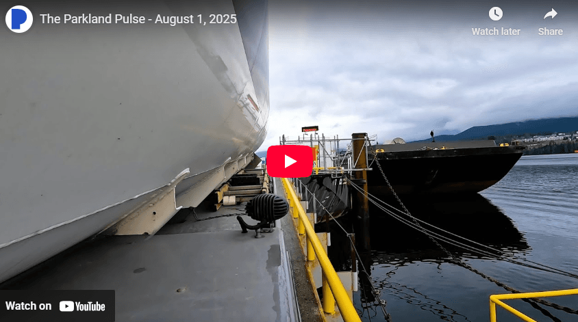 The Pulse - August 1